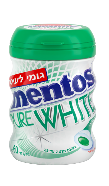 Pure White Spearmint SF Gum 'Mentos' NETT!