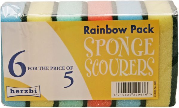 Rainbow Sponge Scourers 'Herbzi'